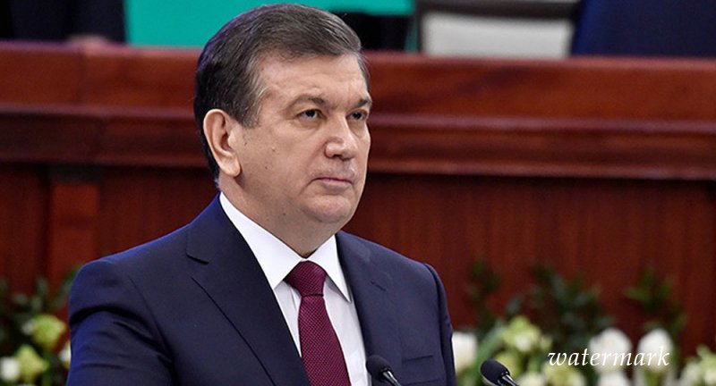 Президенту Узбекистана завели страницу в Instagram и канал в Telegram