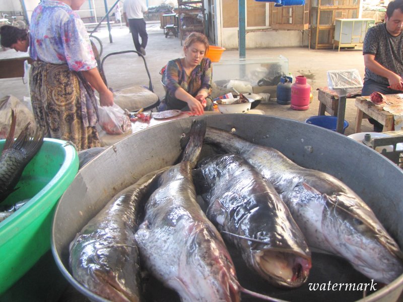 Почему в Таджикистане такая дорогая рыба и что мешает развитию рыбного хозяйства в стране?