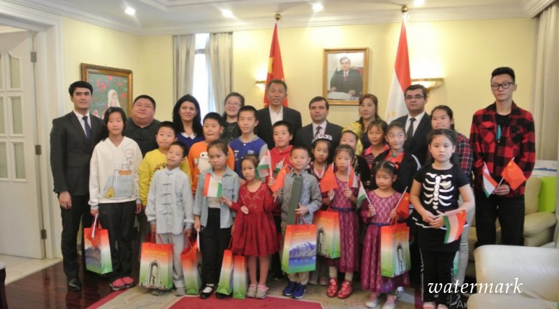 Китайские дети показали таджикским дипломатам Кунг-фу