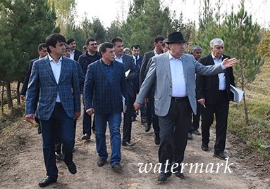 Эмомали Рахмон посетил Национальный сад Таджикистана