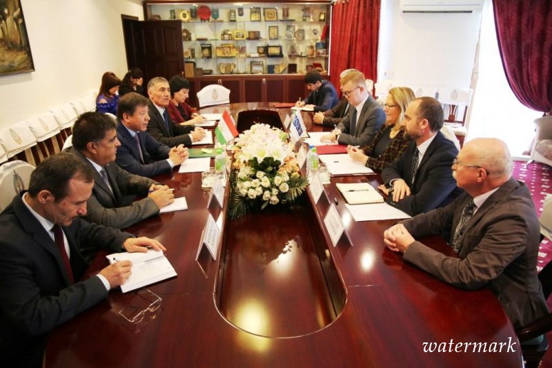 Встреча с Послом Главой Офиса программ ОБСЕ в Таджикистане Туулой Юрьёлей