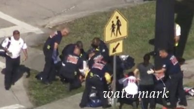 Число погибших при стрельбе в школе во Флориде возросло до 17 человек