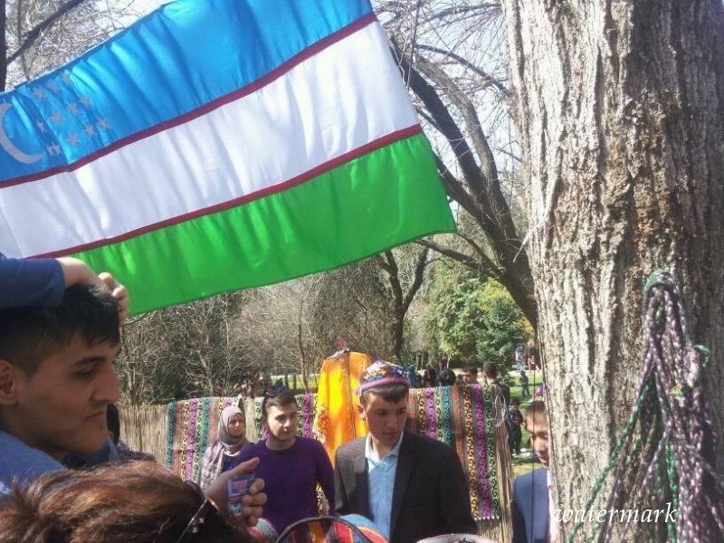 «На дорогах Самарканда сплошь таджикские номера»: соцсети пестрят эмоциями о поездках таджиков в Узбекистан
