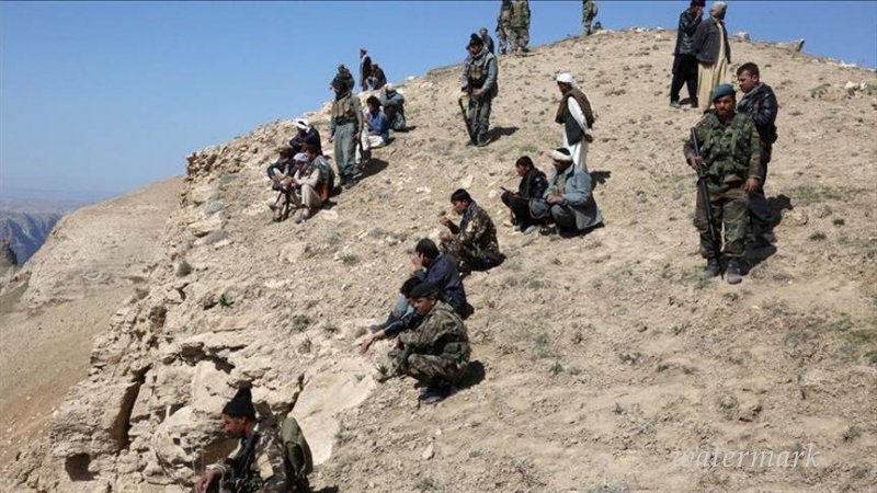 МИД РФ обеспокоен активностью ИГ на границе Афганистана со странами СНГ