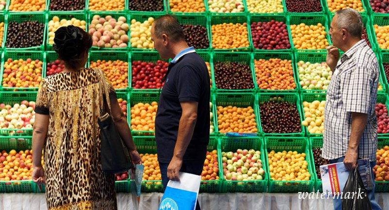 Запретный фрукт сладок: как таджикским дехканам наладить экспорт в Россию