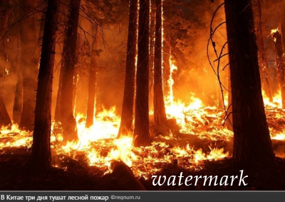 В Китае бушует лесной пожар, десятки жертв