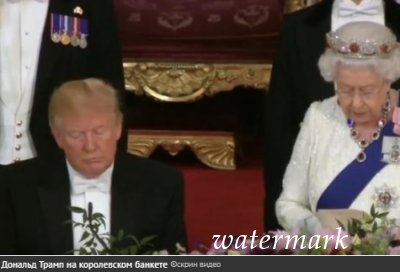 Трамп уснул во время речи Елизаветы II - СМИt