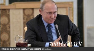 “Нет четкой ясности”: У Путина объяснили выжидательную позицию касательно Зеленского