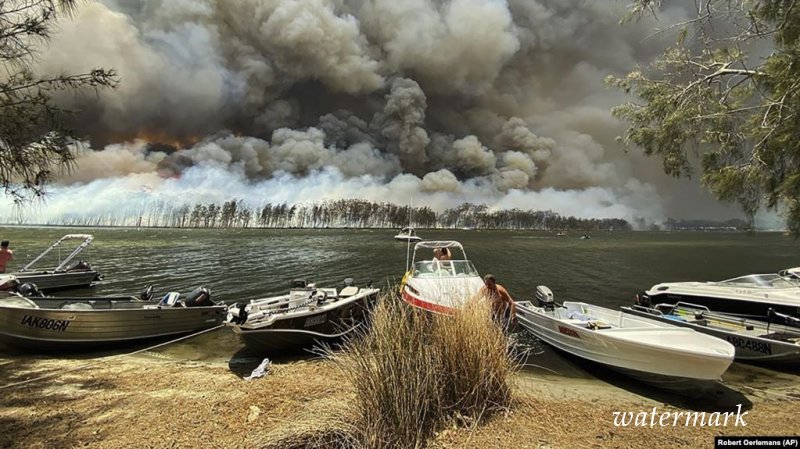 Австралия направит тысячи военных на тушение лесных пожаров