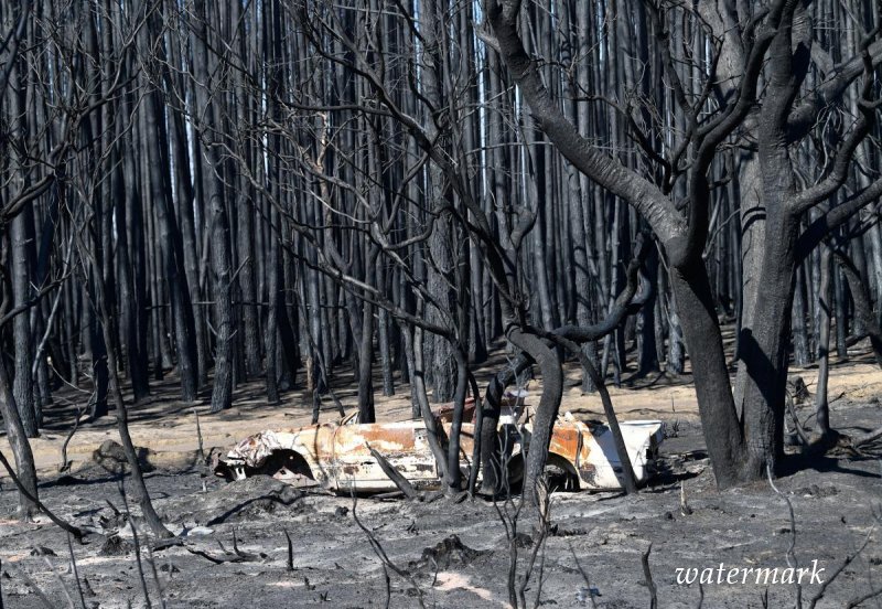 Число погибших от пожаров в Австралии достигло 25 человек
