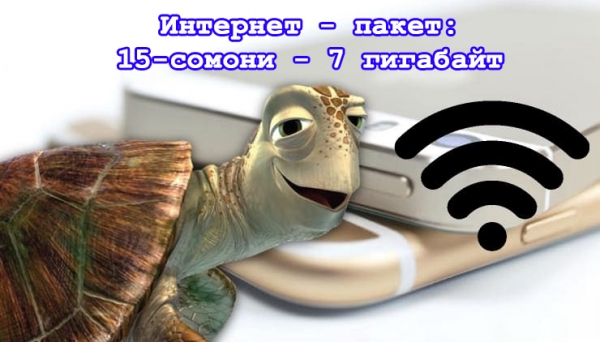 Все еще не быстрее черепахи. Да, это про интернет в Таджикистане