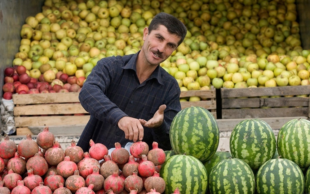 Как Таджикистану начать продавать свои фрукты в Китай и Индию?
