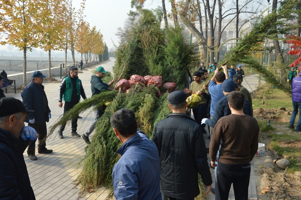 Организация Ага Хана по развитию внесла свой вклад в программу «Озеленение Душанбе»