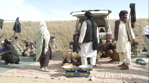 Афганистан с героина переходит на «мет». Как с приходом талибов тут расцвела наркоторговля