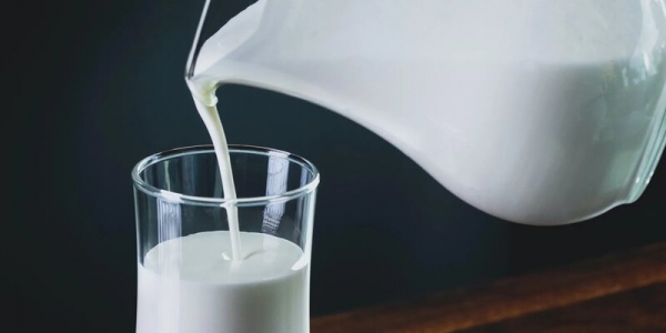 Узбекские ученые создали молоко для профилактики коронавируса