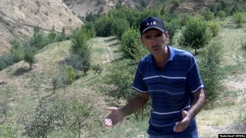 В Таджикистане задержан садовод. После его жалобы был уволен брат министра транспорта
