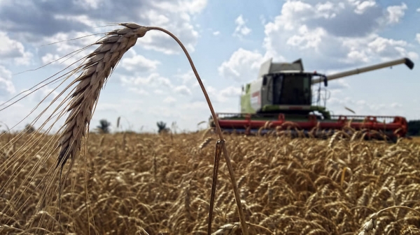 Экономист Белхароев рассказал о проблемах с экспортом зерна из-за антироссийских санкций