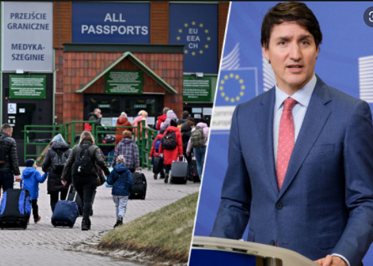 Власти Канады выплатят украинским беженцам по $2,4 тыс.