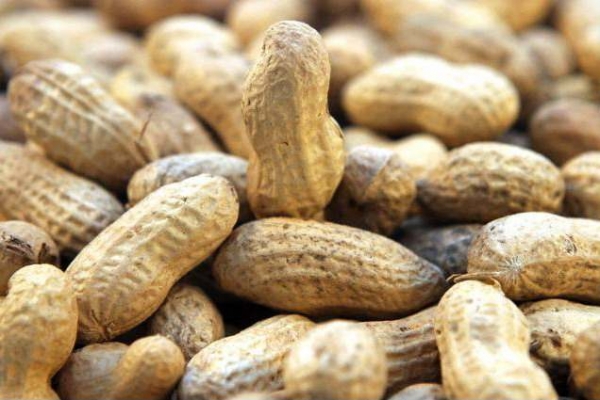 В Таджикистане откроют первый в стране завод по переработке арахиса
