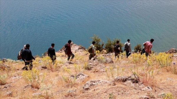 Инцидент на узбекско-афганской границе: афганцы приплыли за корнем солодки в Узбекистан