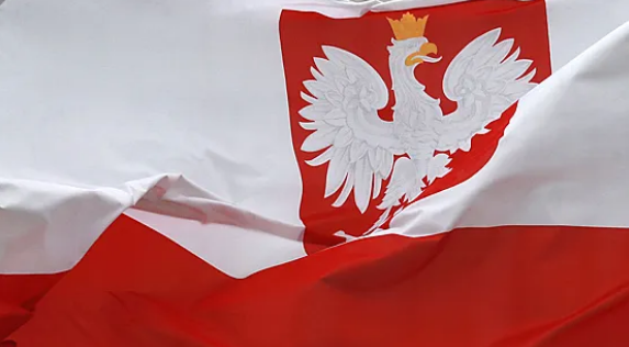 В Польше произошел крупный скандал из-за украинцев