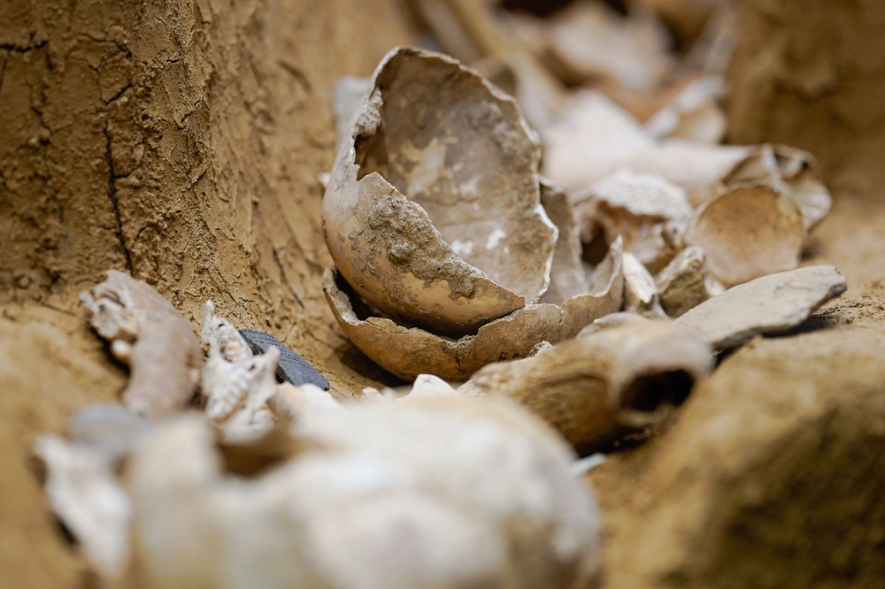 В Мексике обнаружили 45 мешков с человеческими останками