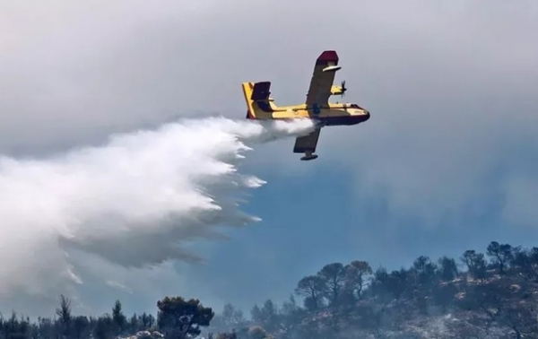 В Греции во время тушения лесного пожара рухнул самолет, задев верхушки деревьев. Экипаж погиб