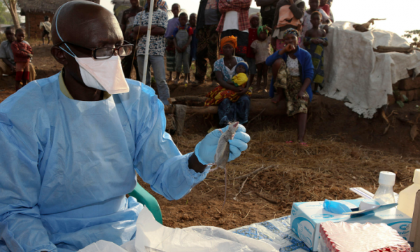 В Нигерии зарегистрировано 200 смертей от лихорадки Ласса с начала этого года