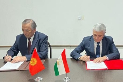 Еще почти 4 километра границы согласовали Таджикистан и Кыргызстан