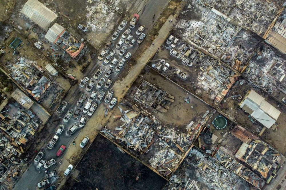 Больше 100 человек погибли из-за лесных пожаров в Чили
