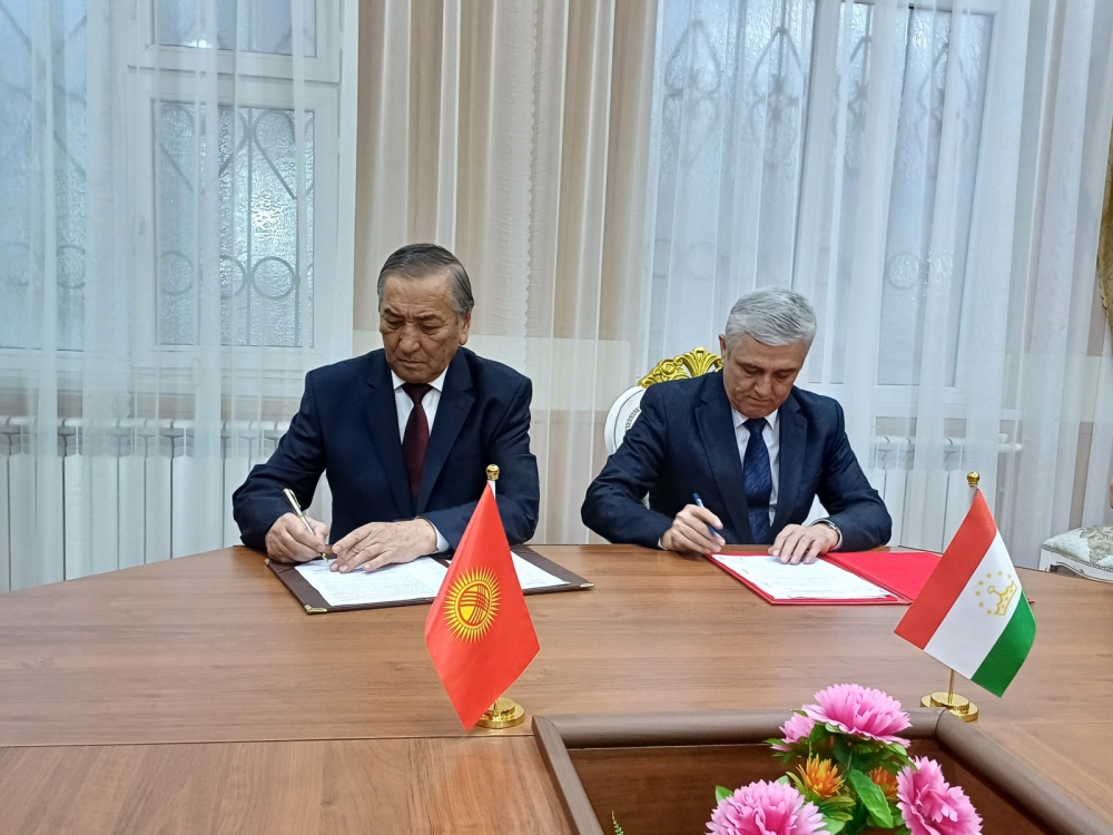 Таджикистан и Кыргызстан согласовали еще 1,11 км границы