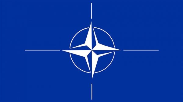 Более половины жителей Молдовы выступают против вступления в НАТО
