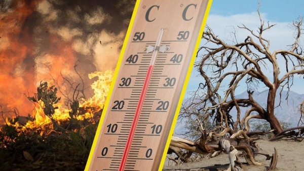 ООН: 2023 год стал самым теплым более чем за 170 лет. В 2024 будет еще жарче