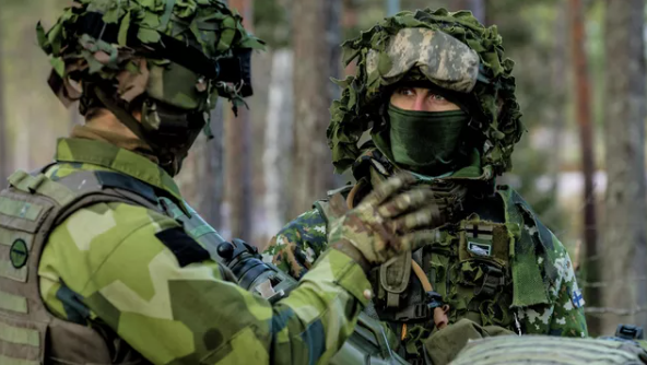 Министр обороны Швеции оценил возможность отправки войск на Украину