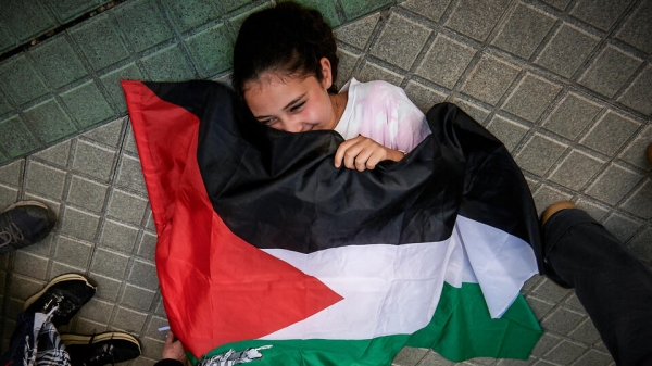 Политолог назвал психологической поддержкой признание Палестины государством