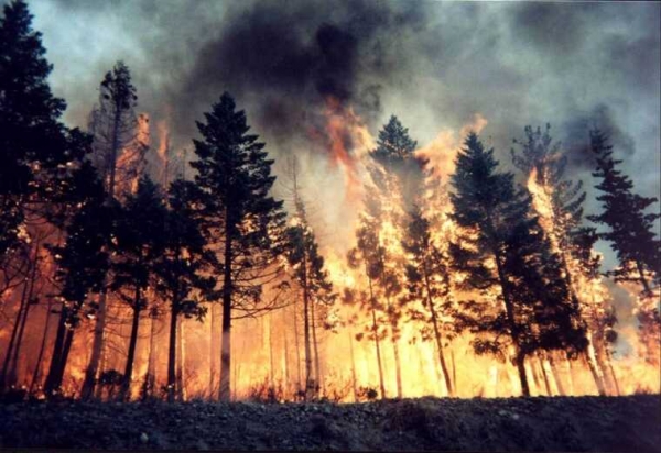 Лесные пожары бушуют в Канаде: власти эвакуировали из зоны бедствия 9,5 тыс. человек